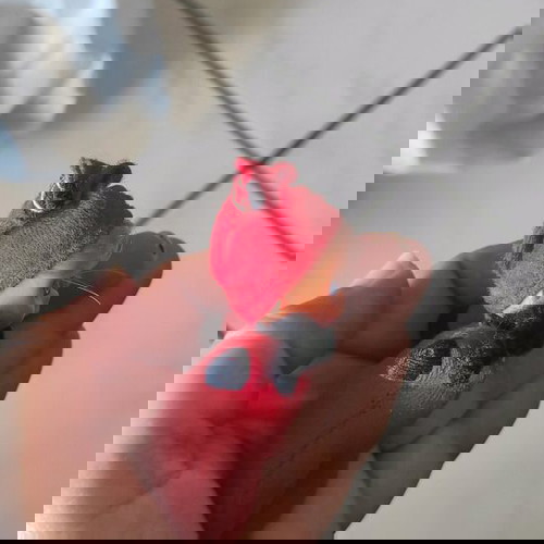 Σπιρτούλης