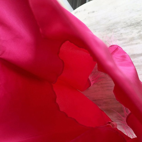 Satin fuchsia camisole like new with pink feathers