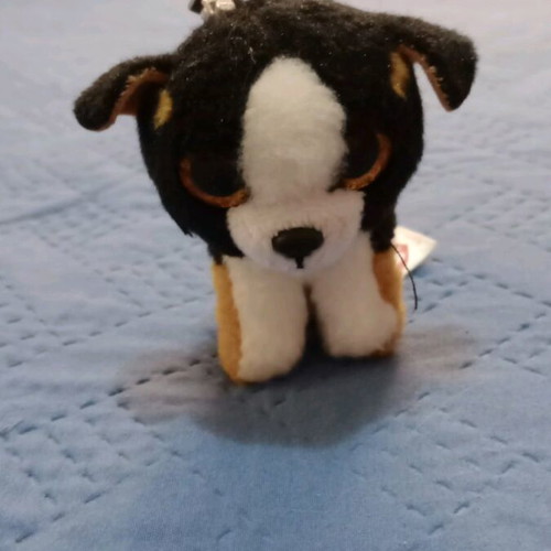 Dog Keychain like new
