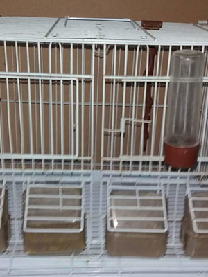 Κλουβί μεταφοράς κατοικίδιων σε άριστη κατάσταση