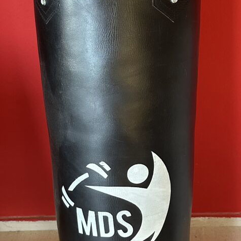 Boxing bag like new with chain, wall mount and Twins 10oz gloves