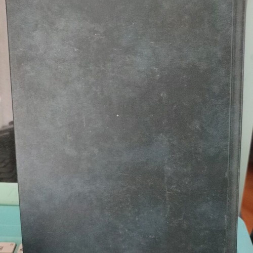 The Hunchback of Notre-Dame book like new