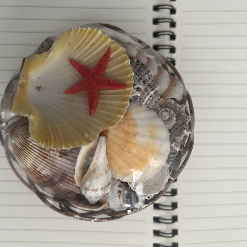 Basket with seashells new