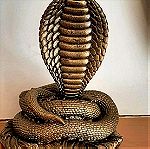  Κερί διακοσμητικό, μεγάλο σχήμα, Φίδι Κόμπρα Cobra Snake Candle, large