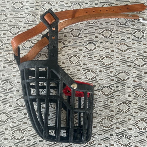 Dog muzzle, harness and collar like new