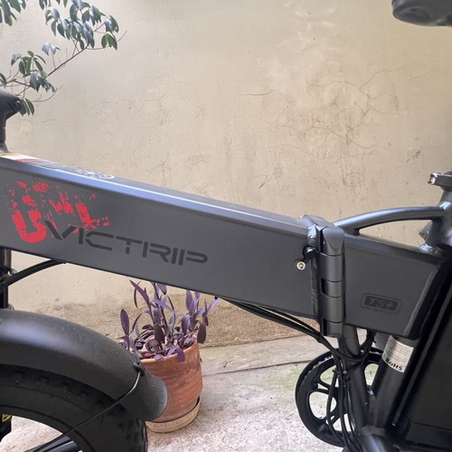 Victrip E Bike 750W Dual Battery Fat Tire Cargo New