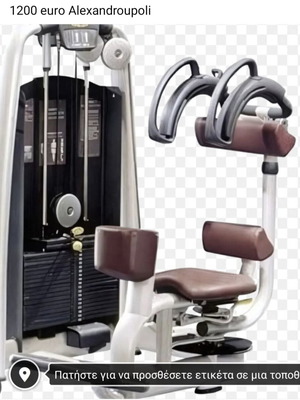 Technogym Selection side abdominal machine used