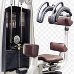 Technogym Selection side abdominal machine used