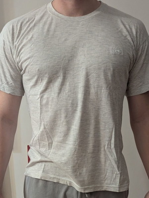 Fruit of the Loom ανδρική γκρι μπλούζα μεταχειρισμένη, μέγεθος L