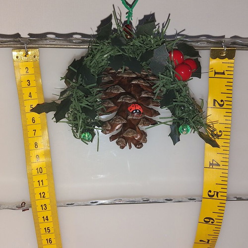 Christmas pinecone ornaments new, set of 8, natural decoration