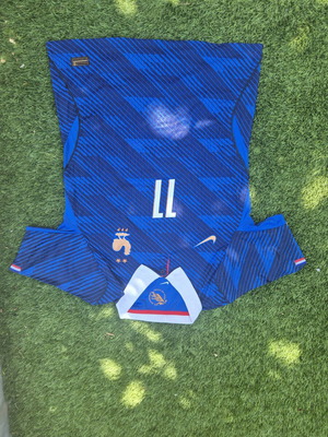 France 2026 Player Version Jersey new, official replica