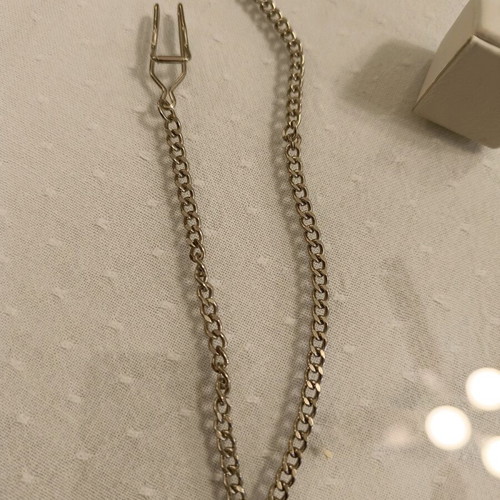 Metal chain new