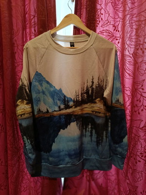Sweatshirt with mountain design size medium like new