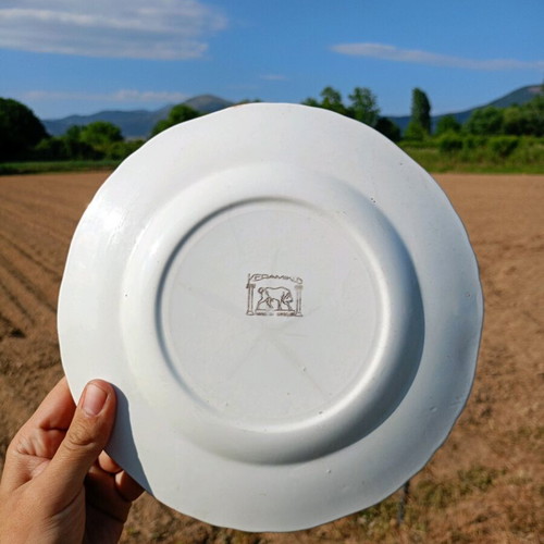 Vintage ceramic decorative plate used with floral design