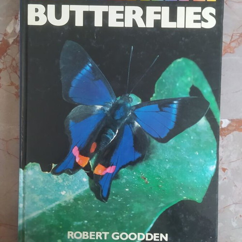All Colour Book of Butterflies by Robert Godden used