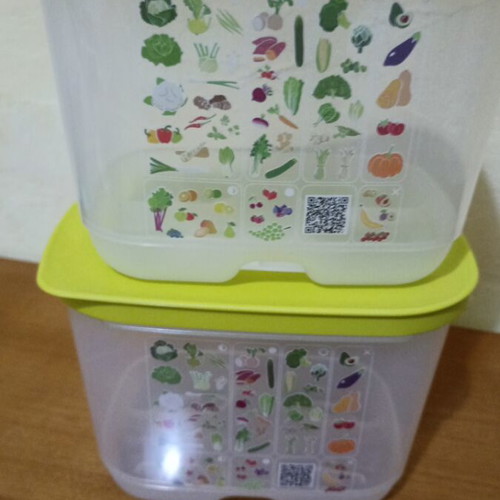 Tupperware smart cooling container 1.8L new