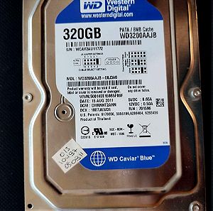 HDD WD Blue 320GB 3.5"