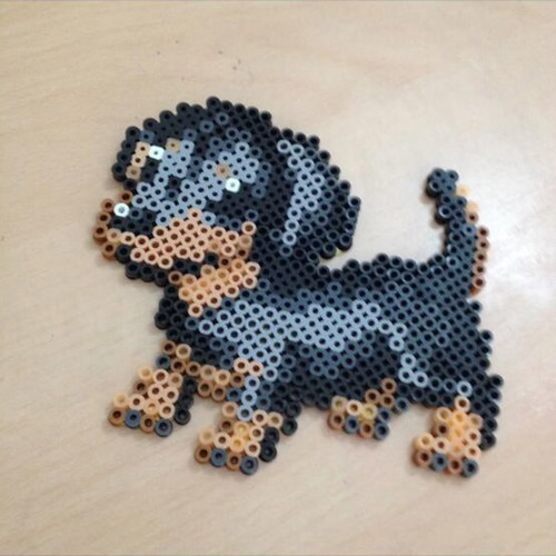 Dog Magnet New Product