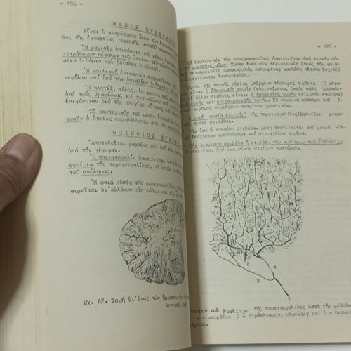 Histology and Embryology Notes and Exercises used, 1962 edition