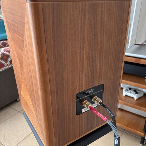 Chario Syntar 520R bookshelf speakers with manufacturer stands
