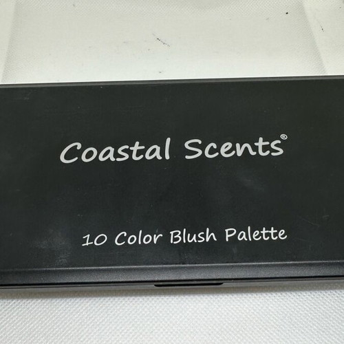 Blush palette with 10 shades like new