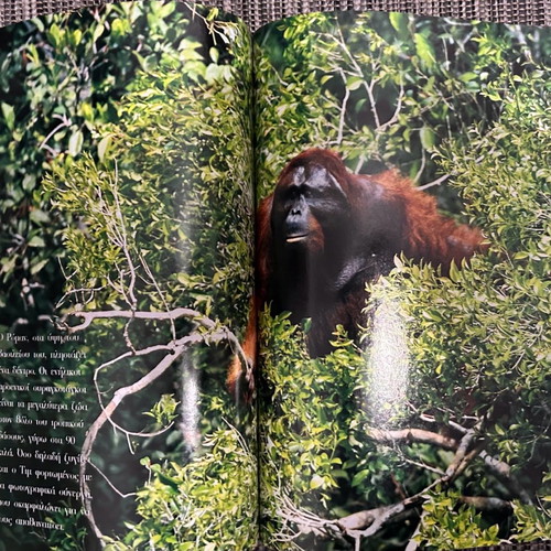 National Geographic Issue 1 Greek Edition 1998 with 3D glasses