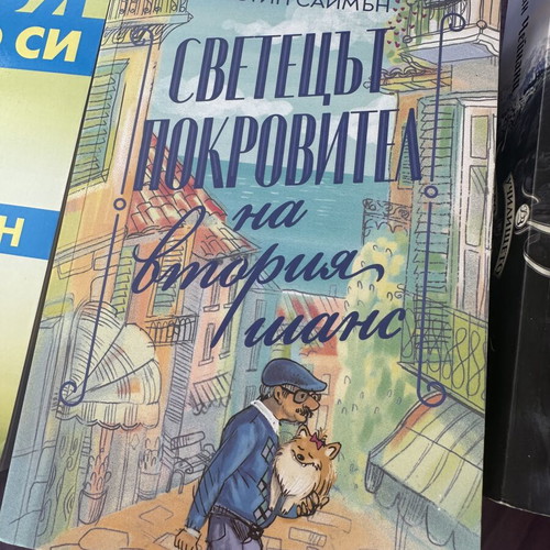 The Saint Protector of the Second Chance book like new