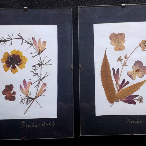 Picture frames used set of 2 with dried flowers from Prague