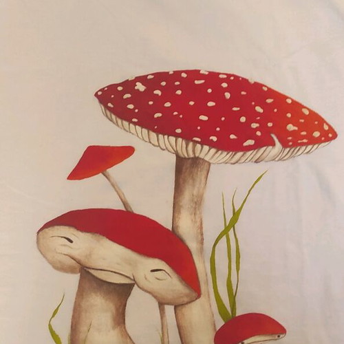Women's T-shirt hand-painted with mushroom fairies like new