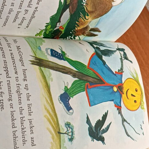 The Tale of Peter Rabbit used, in English