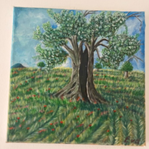 Olive Tree in the Meadow Small Acrylic Painting New 20x20