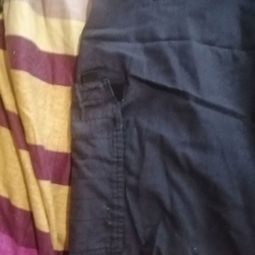Beck bermuda shorts L, blue
