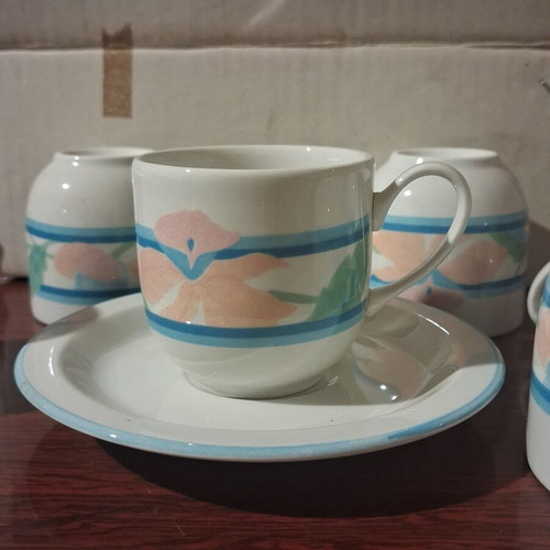 Vintage Daisy Italy tea cup set of 6, new ironstone