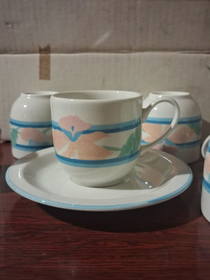 Vintage Daisy Italy tea cup set of 6, new ironstone