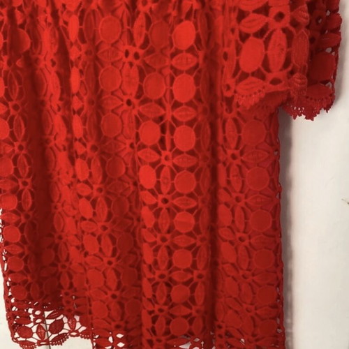 Red dress long-sleeve lace embroidery bell sleeve, lined, regular fit