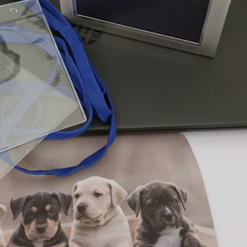 Set of 6 office accessories like new with mouse pad and transparent sleeves