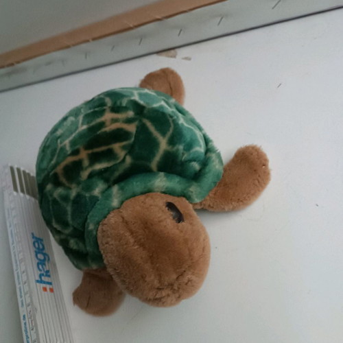 Plush turtle used