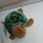 Plush turtle used