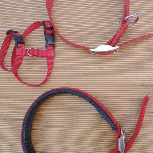 Dog and rabbit collars like new, set of 3 red straps