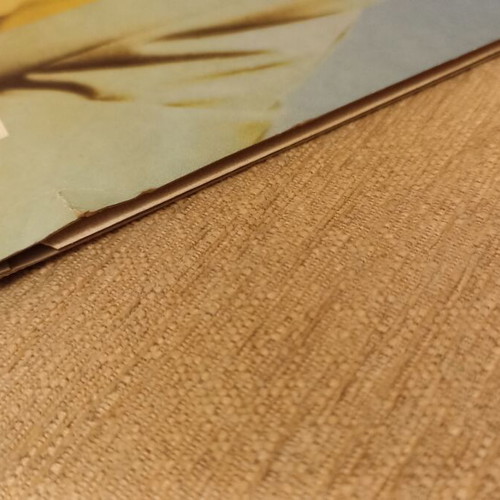 Vasilis Karras Den Pao Pouthena LP used, laiko