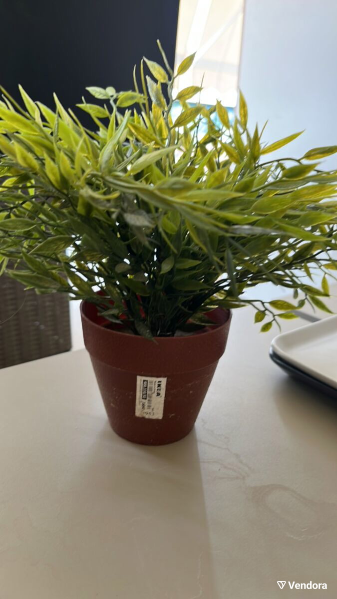 Artificial plant IKEA used excellent -  4,00 - Vendora.cy