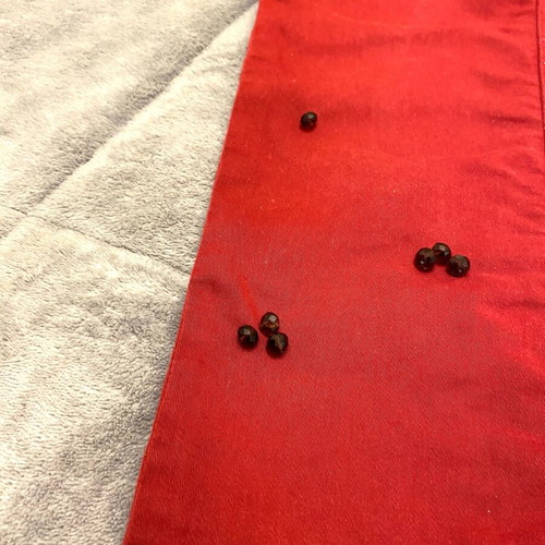 Bershka denim jeans with hand-sewn beads, like new, size 38, red