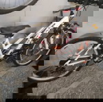 ideal γυναικείο ποδήλατο mountain bike