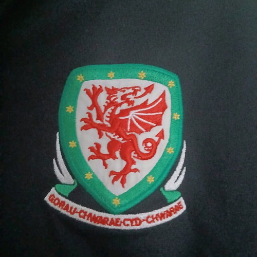 Wales National Team Umbro 2011 Shirt like new, size Large