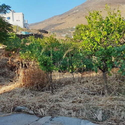 Plot in Ktikados village 2022 m² with old stone farmhouse and five stone stables