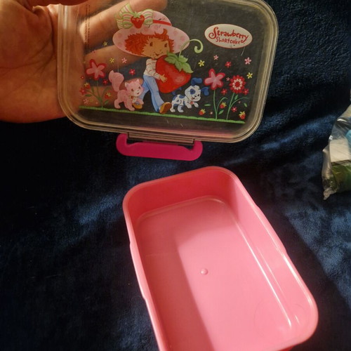 Strawberry Shortcake lunch box used, pink with transparent lid
