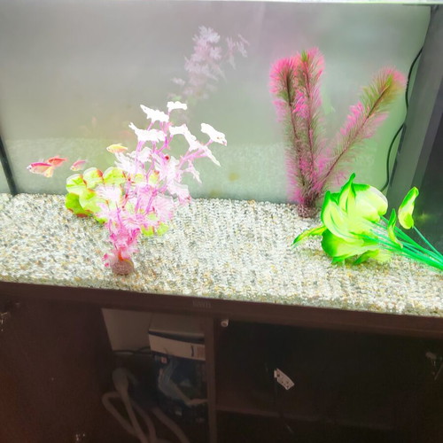 Juwel Rio 125 LED Aquarium set like new with cabinet and extras
