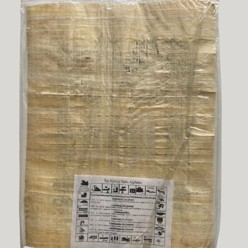 Egyptian Papyrus The Musicians of Ancient Egypt new