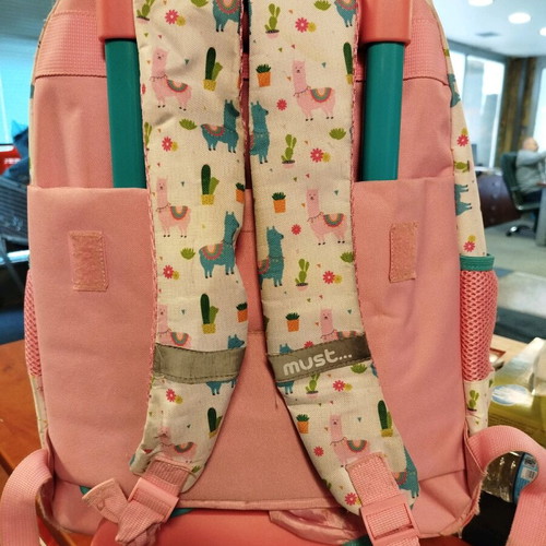 Must school backpack used with wheels and three pockets