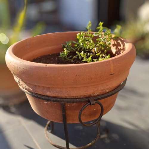 Large terracotta pot with metal stand and clay wedges, used